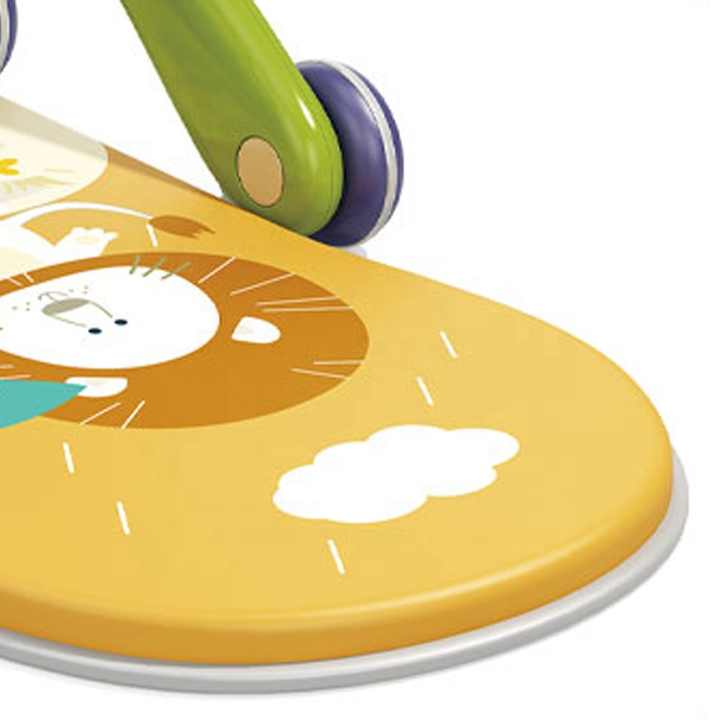 Multifunctional Baby Walker - HZ TANOLI LLC